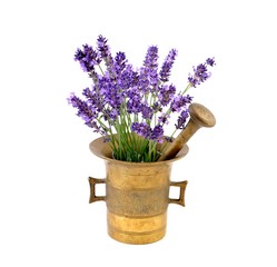 Flowers lavender in mortar. 