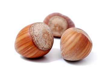 Hazelnuts isolated on white.  