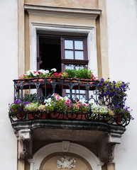 Fototapeta na wymiar balcony and flowers