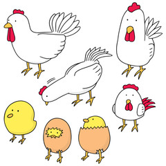 vector set of chicken and egg