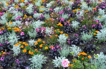 Buntes Blumenbeet