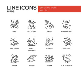 Birds - line design icons set