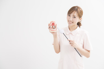 顎模型を持つ白衣の女性 © peach100