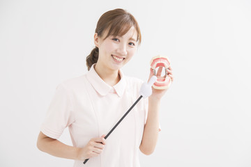 顎模型を持つ白衣の女性 © peach100