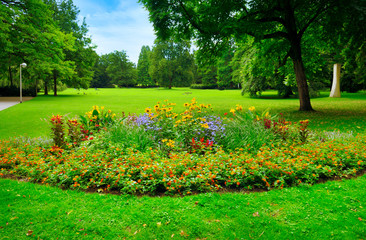 summer park with beautiful flowerbeds