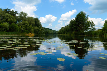 Obraz premium Lake View (River). On the banks of the green dense forest