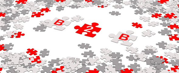 b2b puzzle pieces