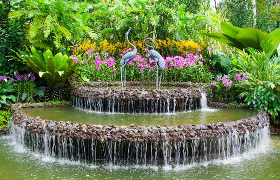 Fototapeta Fountain and orchids