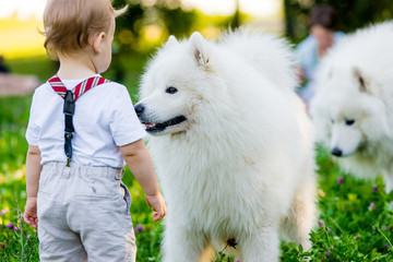 Little boy is standing with a white dog summer day in the park