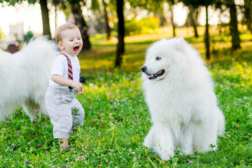 Little boy is standing with a white dog summer day in the park