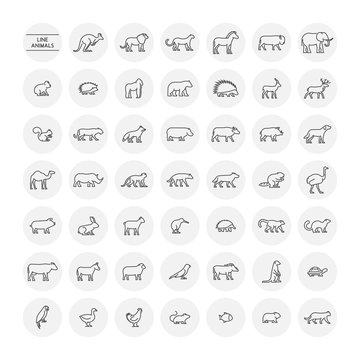 Line set silhouettes of farm, forest and wild animals.
