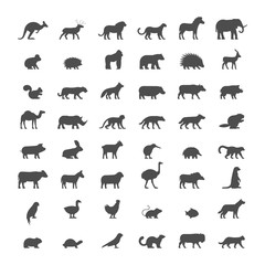 Black silhouettes of australian, african, american and other ani