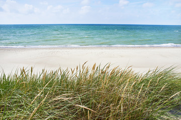 Landscape of baltic sea and beach