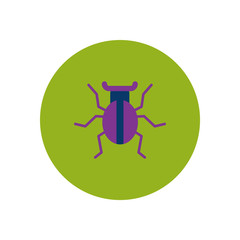 stylish icon in color circle beetle insect  