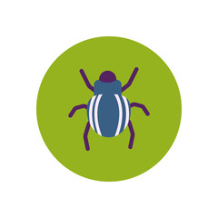 stylish icon in color circle beetle insect  