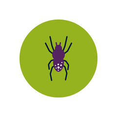 stylish icon in color circle spider insect 