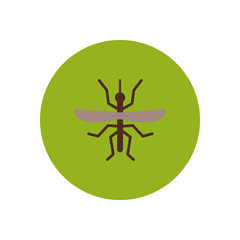 stylish icon in color circle flying beetle