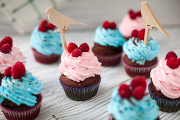 colourful cupcakes with raspberries