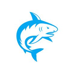 shark isolated on white, vector illustration