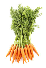 Fresh carrots isolated on a white background