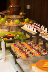  Collection of delicious assorted mini dessert