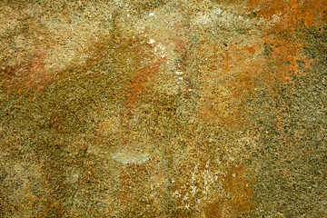 large grunge textures and backgrounds - perfect background with