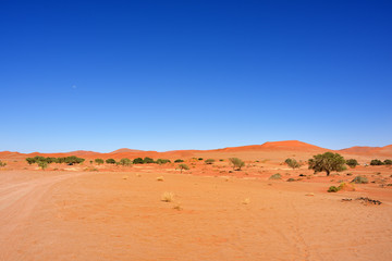 Fototapeta na wymiar Namib-Naukluft National Park, Namibia, Africa