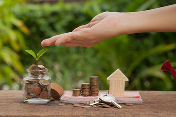 Saving money concept, growing business, The concept of financial