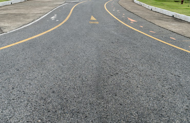 Road in the park