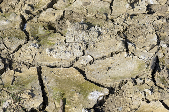 Cracked soil by the drought