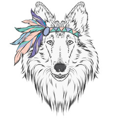 Dog in the Indian dressing with feathers . The leader of the tribe. Vector illustration for greeting cards , posters or prints on clothes and accessories . Collie.