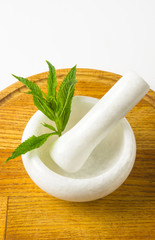 Fresh spearmint herb in the mortar