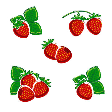 Strawberries set. Vector