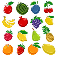 Collection of fruits set. Vector illustration