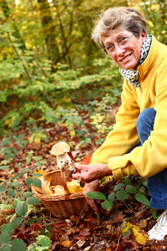 femme senior à la cueillette de champignon