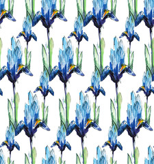 print seamless pattern with blue irises on a white background, watercolor sketch