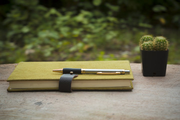 green notebook, pen and cactus pot on wooden desk - vintage style