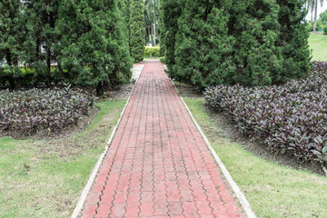 Concrete Pathway in garden
