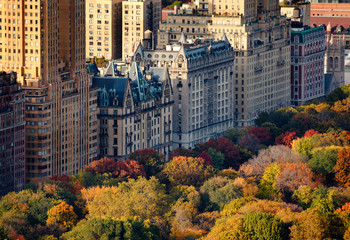 Afternoon light on Central Park's treetops and New York City buildings. Upper West Side building...