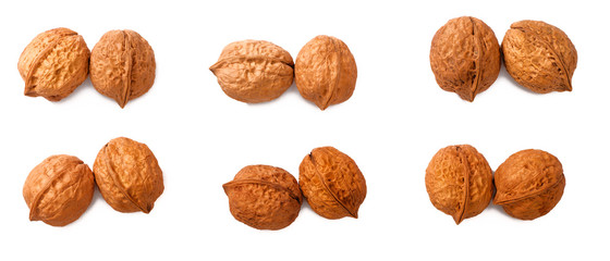 dry walnuts on white