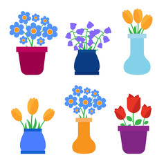 Spring flowers in pots and flower