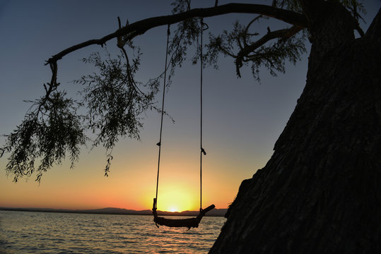 salıncak ve g&uuml;ndoğumu