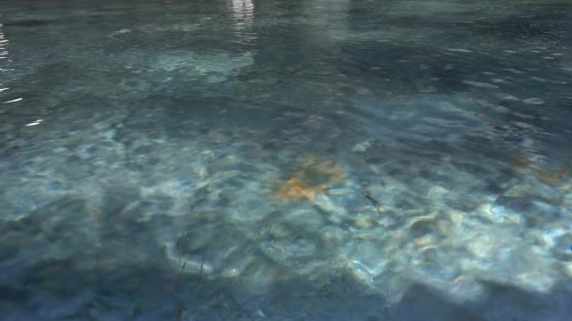 Pool water with sunlight reflect. and move with dolly slowly.
