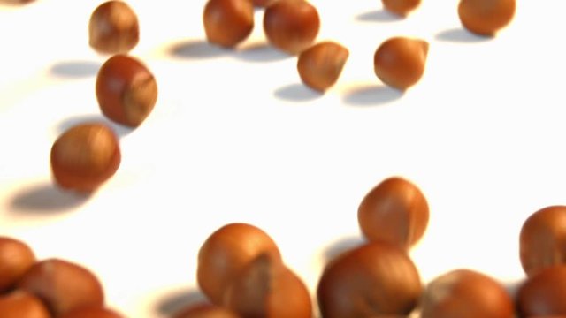 Hazelnuts on a white background. 2 Shots. Slow motion. Vertical pan. Close-up.