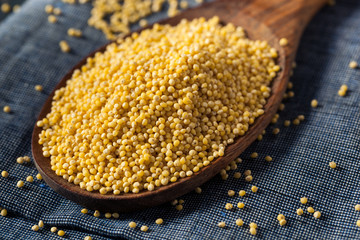 Raw Organic Healthy Millet