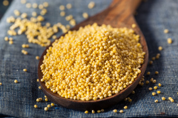 Raw Organic Healthy Millet