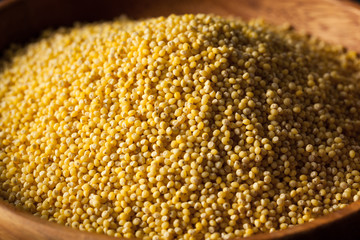 Raw Organic Healthy Millet