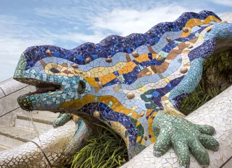 Photo sur Plexiglas Fontaine Lizard of Gaudi