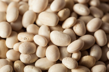 Raw Organic White Navy Beans