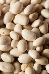 Raw Organic White Navy Beans